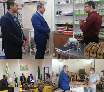 بازدید رئیس پارک علم و فناوری خلیج فارس